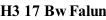 H3 17 Bw Falun